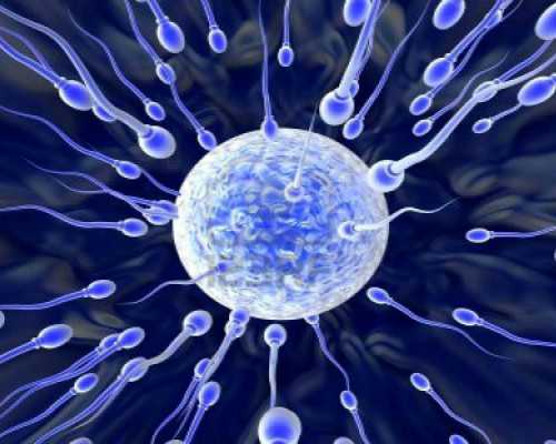 宝鸡古玩收藏电话,轻食食材吃什么好