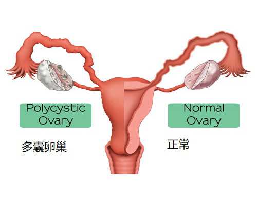 兰州古玩地摊市场在哪里交易,梦见在学校读书是什么意思做梦梦到在学校读书