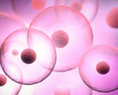 香港验血等结果好心慌_香港验血检测性别达雅高_结果真的哪么准吗!