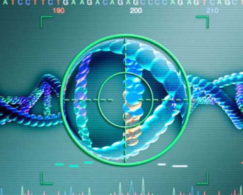 自己去香港验血男女准嘛_怀孕8周香港验血准确吗_测男女结果会翻盘吗