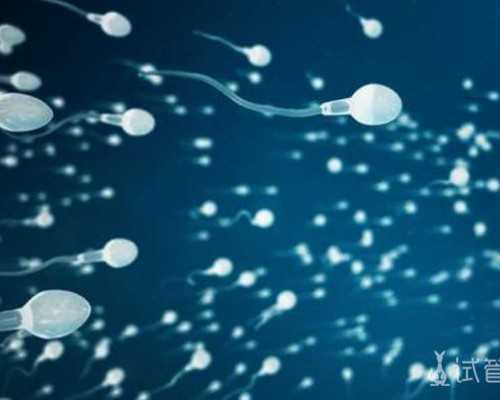 广州古董古玩现金收购,梦见很多猫是什么意思做梦梦到很多猫好不好