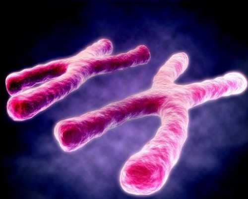 香港验血什么时候能拿结果_深圳可以查性别的私立医院_内地人能去香港预约验