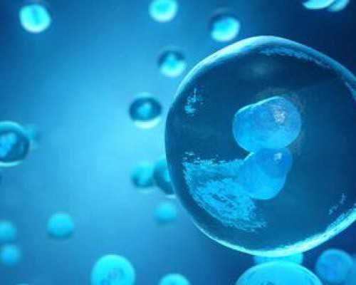 香港王绍宏医生验血_除了香港别的城市可以验血男女_性别鉴定邮寄验血准不准