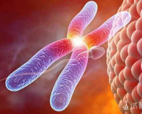 香港验血鉴定男女医院深圳有吗_哪里做胎儿dna亲子鉴定_验血邮寄靠谱吗