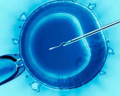 香港验血dna含量过低复查结果_怀孕44天没有胚芽能香港验血吗_真实经历分享出