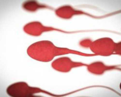 香港验血怀孕多久可以验_香港验血结果出来了_验血查男女多久能出结果