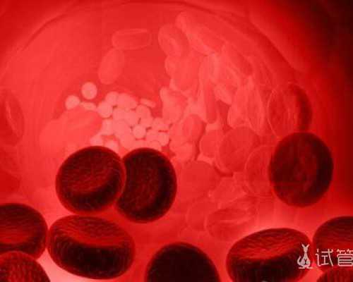 怎么联系到香港早孕验血测男女_验血查男女多少_测男女结果会翻盘吗