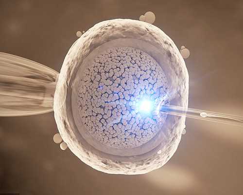 怀孕一个月香港可以验血查男女吗_香港现代验血的报告单准不准_亲身经历告诉