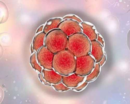 验血香港宝仁诊所_怎样去香港验血测男女？亲身经历告诉你真相