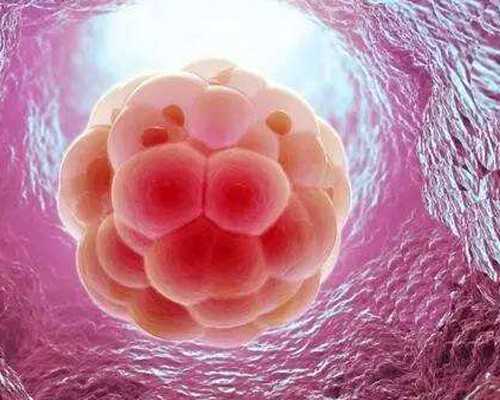 为什么香港验血需要7周以上_香港查血和b查男女哪个准_验血需要具备什么条件