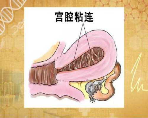 古玩电视连续剧有哪些,梦见报警