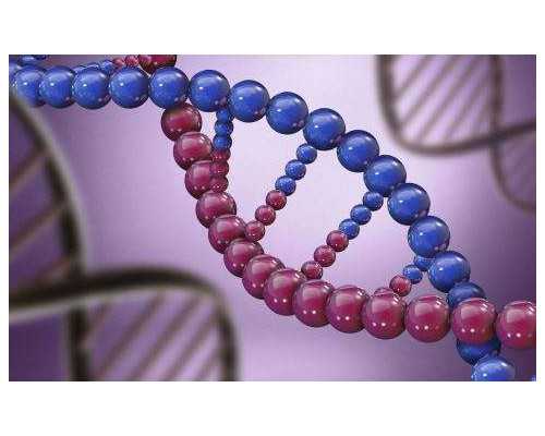 孕囊6mm可以香港验血吗_我去香港抽血验男女的真实体验，希望可以给你帮助