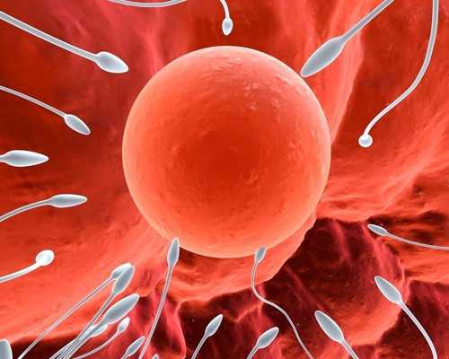 邮寄香港验血为何这么快_香港几天抽血查男女_邮寄验血准不准