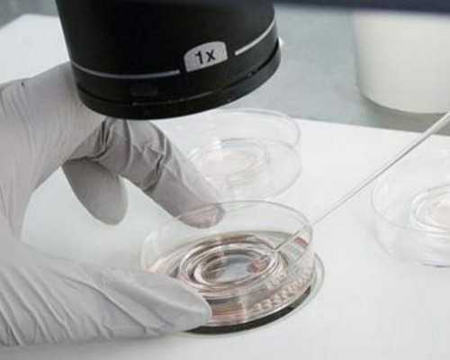 香港 验血判断男孩女孩_关于环保写300字作文关于保护环境的作文300字