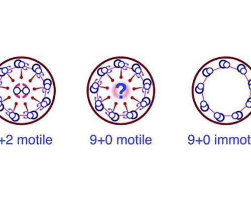 香港验血当天吃油腻,亲自去香港验血_亲身经历告诉你最全流程!