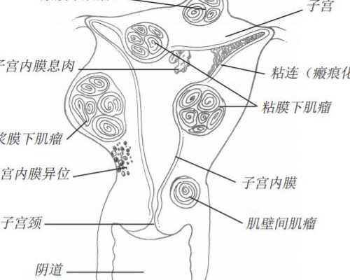 古玩鉴宝类小说排行榜_生命的赞歌——谈“父”字的演变