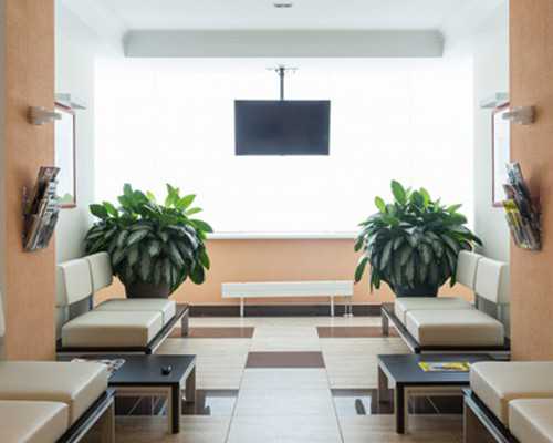 香港验血7周怎么算_DNA检测部分正规资质