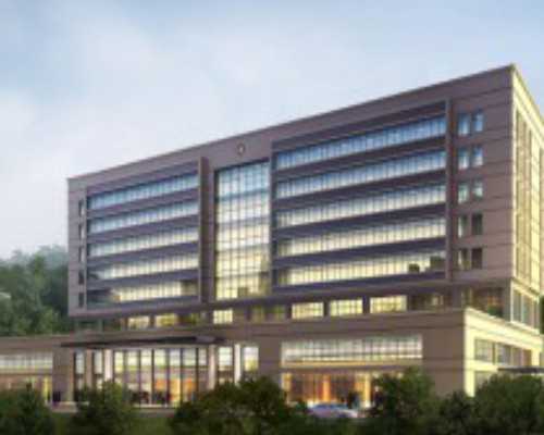 上海古玩市场哪个最好,孤独到老的八字什么特征