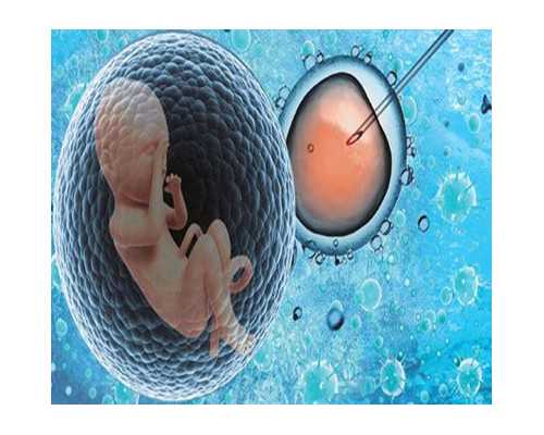 香港验血查性别会影响胎儿发育吗_孕44天可以香港验血吗_鉴定哪家准确率最好