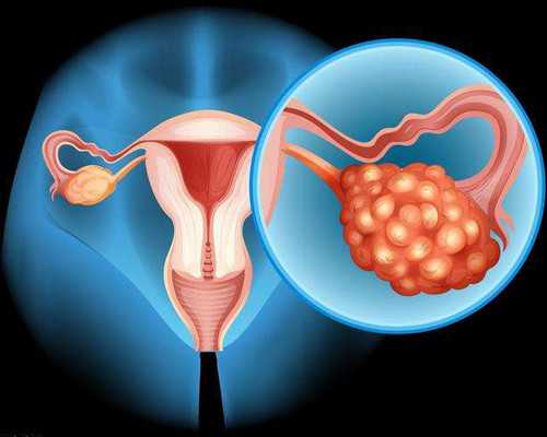 香港验血九周会太晚吗_香港抽血查胎儿男女准不准_亲身经历分享!