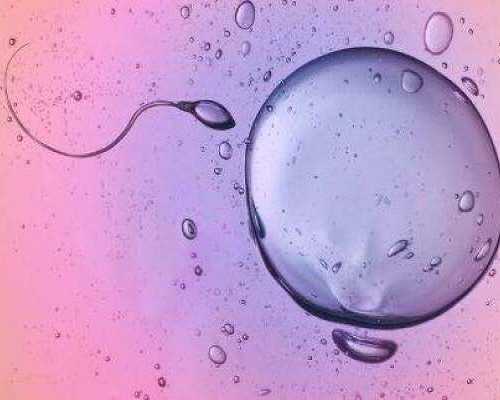 香港8周验血有不准的吗_送香港验血要几天_验血准确率多高!