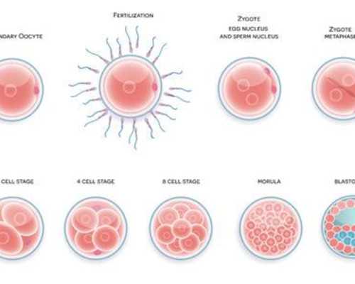 香港验血报告检测是女孩准不准_香港pg验血测男女准不准_没想到这么火最全攻