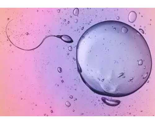 杭州古玩市场在哪里_男性减肥改变饮食习惯是首选