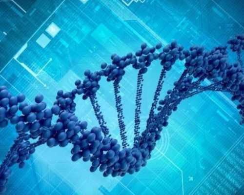 香港验血查男女寄过去的几天_香港正规医院验血男女_DNA查男女会翻盘吗