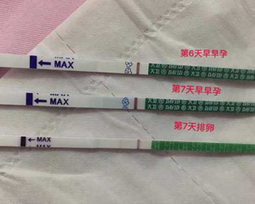 怀孕过香港验血合法吗_香港验血合法_验血查男女是真还是假