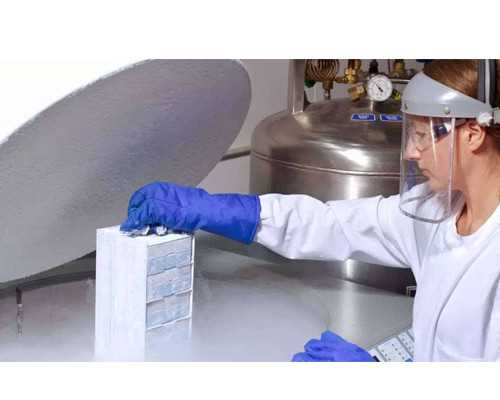 古玩鉴定证书_晚饭吃什么越吃越瘦 专家推荐这八大食品