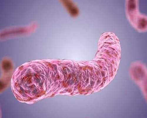 香港验血有几个y是男孩还是女孩_香港性别鉴定权威机构,需要注意的都在这！