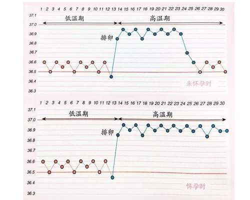香港验血鉴定男女需满49天吗_香港验血查性别广州抽血点_验血查男女准确率多