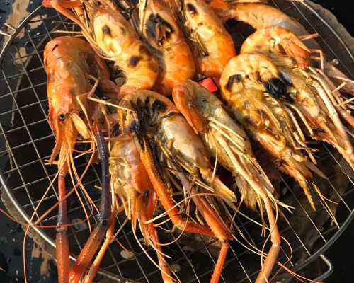 中华古玩网怎么下载_蔬菜和牛肉怎么搭配能排毒