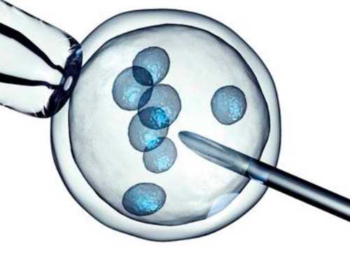 西安古玩上门收购商_节食减肥会影响性欲吗？