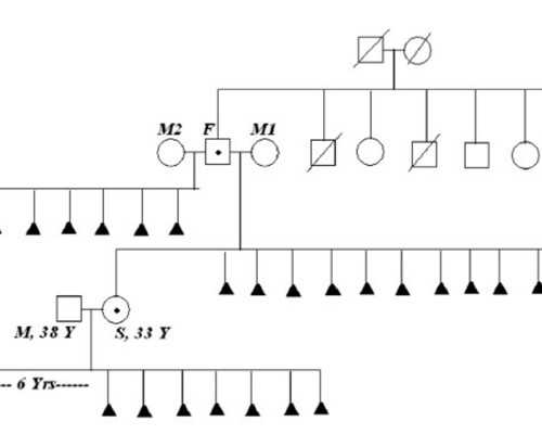 老古玩店最佳译本_当代名人字画收藏需注意几大问题