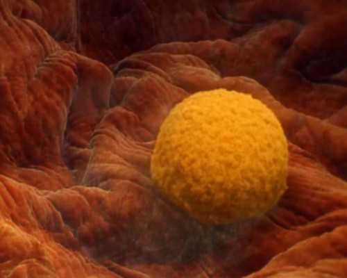 古董古玩交易中心微信号,水瓶男喜欢内向还是外向的女生