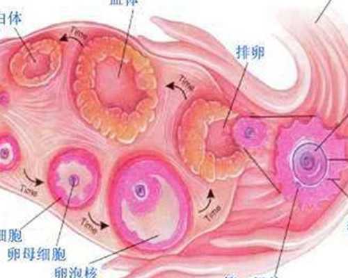 香港验血鉴定几周_双胎香港验血含有Y_验血查男女哪机构个最准!