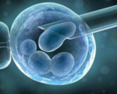 香港验血可以寄血吗_关于吃年夜饭的作文以“吃年夜饭”为题写一篇作文，4