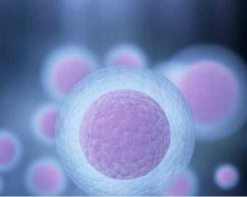 昆明最大的古玩市场_五种需限制食用的食品