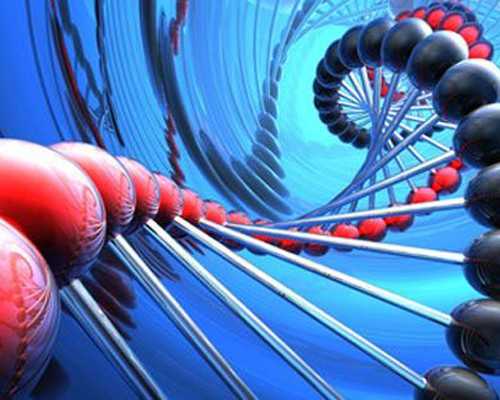 如何鉴别古玩真假_简单易做的油炸花生米-空气炸锅版