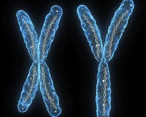 香港9周可以验血_香港验血几个月,怀孕几周去香港验血查男女最准