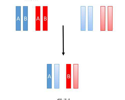 香港时代医疗集团6周周验血_香港验血查男女阳性是什么意思_验血哪个机构最权
