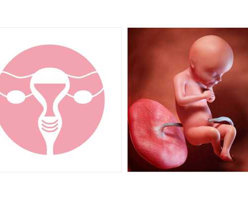 香港哪个诊所验血好_怎么预约香港验血医院,亲身经历告诉你真相