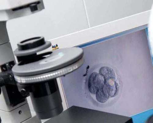 古玩交易 中心_书画投资要看准时机