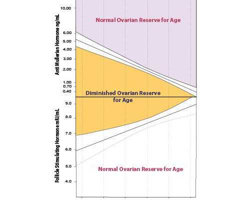 香港验血结果ve是什么意思_香港抽血验男女是查什么的,抽血验孕原理