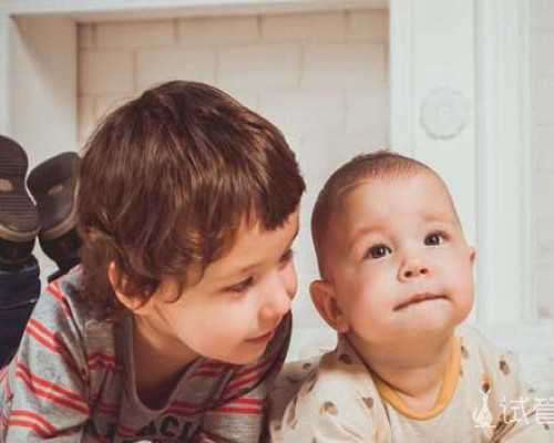 古玩摆地摊实战_超简单零失败凉拌笋尖的做法