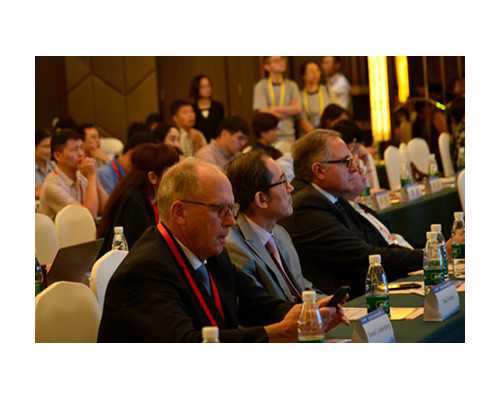 古玩发家致富电视剧全集_12种食物吃多了会让你变笨