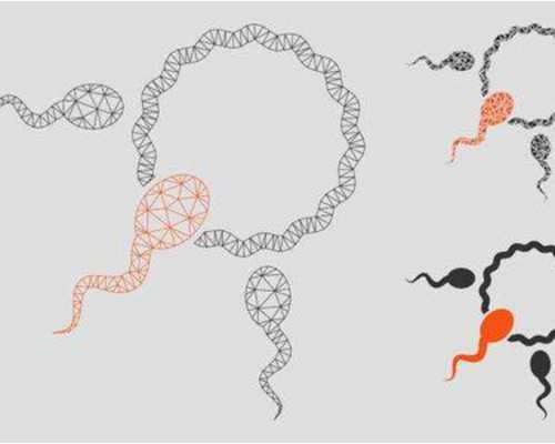 香港验血邮寄血液会变质吗,男女必看！不孕不育检查中必须知道的事！