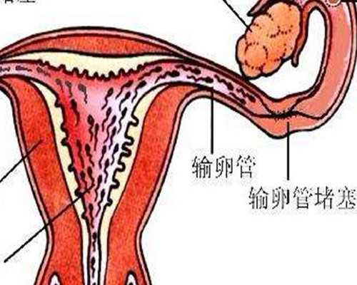 香港验血怎么算七周_香港验血说血稀验不出来_预约性别鉴定哪家比较好!