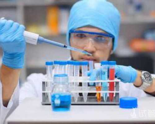 沉浮古玩虫高清在线观看_一日三枣，红颜不老，到底如何吃枣才可以起到最佳